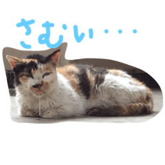 [LINEスタンプ] 動物の一言