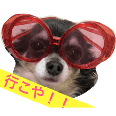 [LINEスタンプ] チワワやし