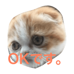 [LINEスタンプ] ペットShop Yamada