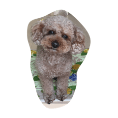 [LINEスタンプ] レオ(2)