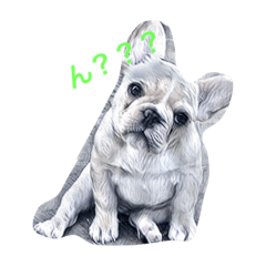 [LINEスタンプ] 顔で返事
