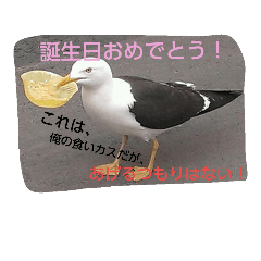 [LINEスタンプ] 鳥さんたちの日常スタンプ