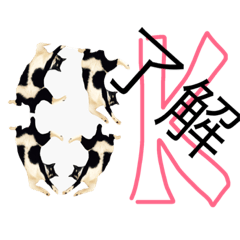 [LINEスタンプ] ぎんぎんぎーんちゃーん