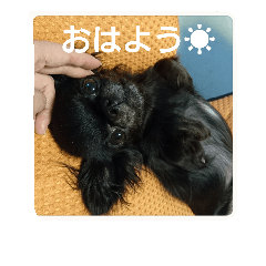 [LINEスタンプ] いつも笑顔♪