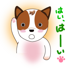 [LINEスタンプ] Jack Russell Terrier (Kinako)