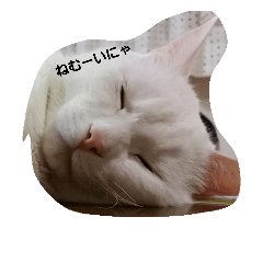 [LINEスタンプ] 無愛想ねこ