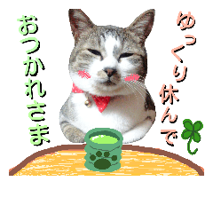 [LINEスタンプ] ここは我々動物達が答えよう