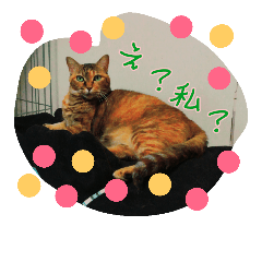 [LINEスタンプ] 猫と愉快な仲間たちパート3
