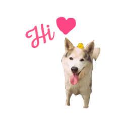 [LINEスタンプ] らっくすたんぷ