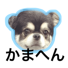 [LINEスタンプ] ケンフー兄弟2