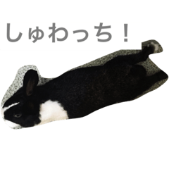 [LINEスタンプ] 今日もポンゴ