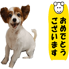 [LINEスタンプ] 動く犬のパピィ-4 丁寧な言葉の画像（メイン）
