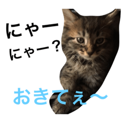 [LINEスタンプ] ぶーん
