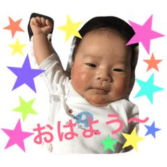 [LINEスタンプ] トラ スタンプ