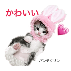 [LINEスタンプ] 猫のお友達1