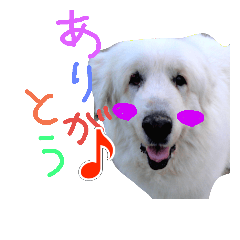 [LINEスタンプ] ピレのりりちゃん