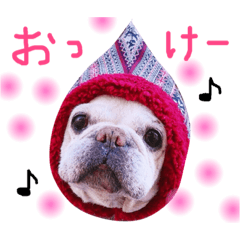 [LINEスタンプ] フレンチブルドッグのまーやさん