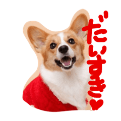 [LINEスタンプ] 毎日使えるぱぴこスタンプ