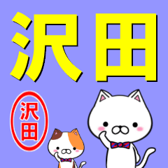 [LINEスタンプ] 超★沢田(さわだ・さわた)なネコ