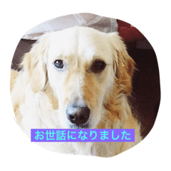 [LINEスタンプ] 緑の中で