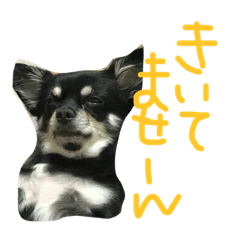 [LINEスタンプ] メルシー614 Part 2
