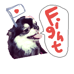 [LINEスタンプ] ポメチワ★プル助の日常スタンプ