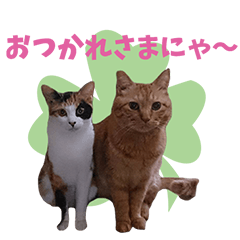 [LINEスタンプ] みけねこ・あんたん