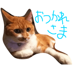 [LINEスタンプ] 日常8