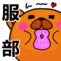 [LINEスタンプ] 服部より愛を込めて（名前スタンプ）