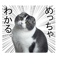 [LINEスタンプ] モフモフ福の神