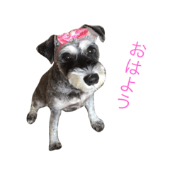 [LINEスタンプ] メイちゃん♡