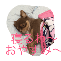 [LINEスタンプ] あおた、あぽ