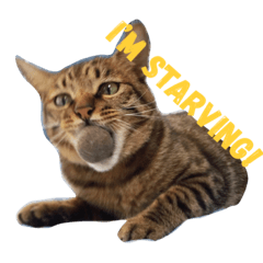 [LINEスタンプ] フィガロ