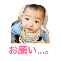 [LINEスタンプ] ＊石川家＊