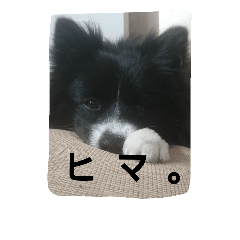 [LINEスタンプ] monkun