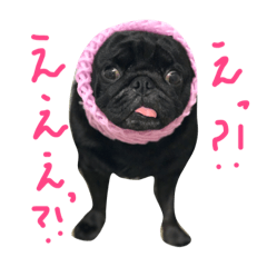 [LINEスタンプ] 黒パグぴーたん