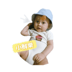 [LINEスタンプ] 小鮮樂的日常！