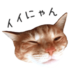 [LINEスタンプ] むぎちゃんにゃん！