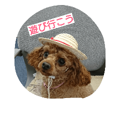 [LINEスタンプ] プードルラブ