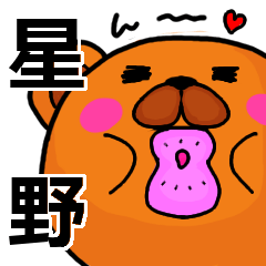 [LINEスタンプ] 星野より愛を込めて（名前スタンプ）