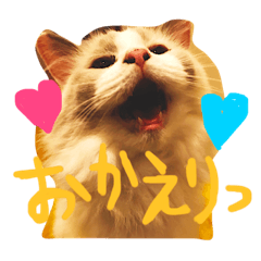 [LINEスタンプ] ちんちらぐどーる