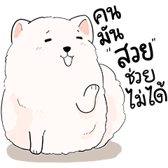 [LINEスタンプ] ユキという名前の白い犬