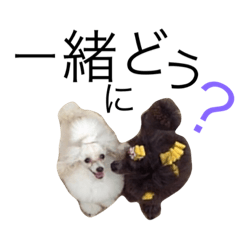 [LINEスタンプ] Y☆かぞく