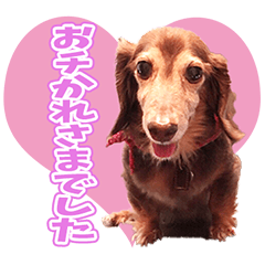 [LINEスタンプ] ショコラ♡