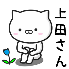 [LINEスタンプ] 【上田】さんが使うネコの画像（メイン）