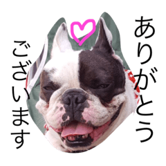 [LINEスタンプ] 山本ぶんたの画像（メイン）