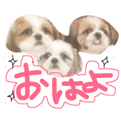 [LINEスタンプ] ガツ一族