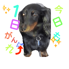 [LINEスタンプ] ぴハナちゃん
