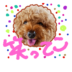 [LINEスタンプ] Happy Atsushi