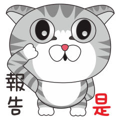 [LINEスタンプ] Cute dumb eye cat1